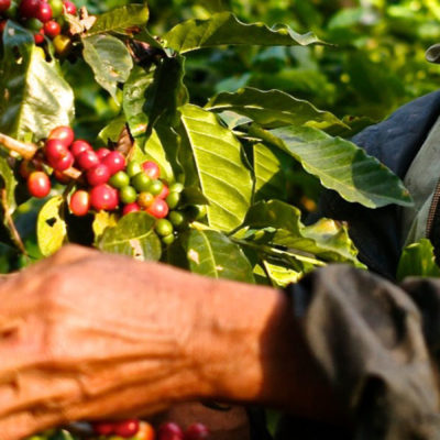 How do Colombians prepare coffee?