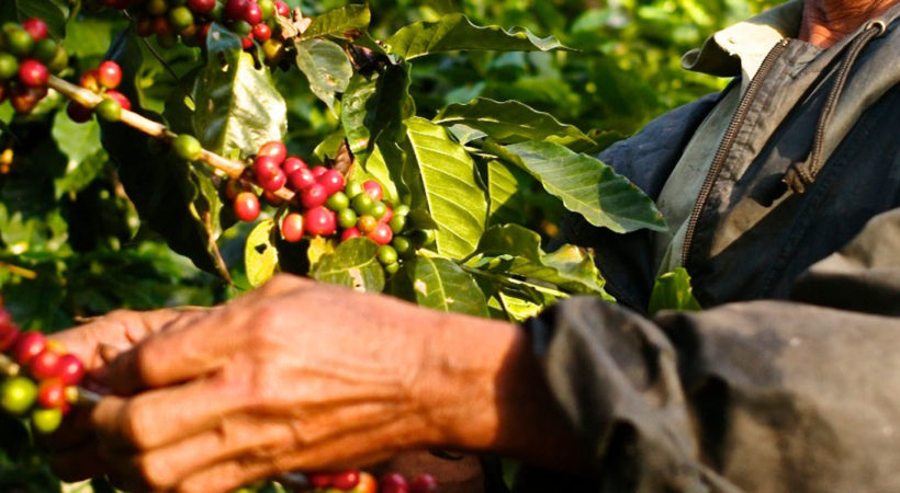 How do Colombians prepare coffee?