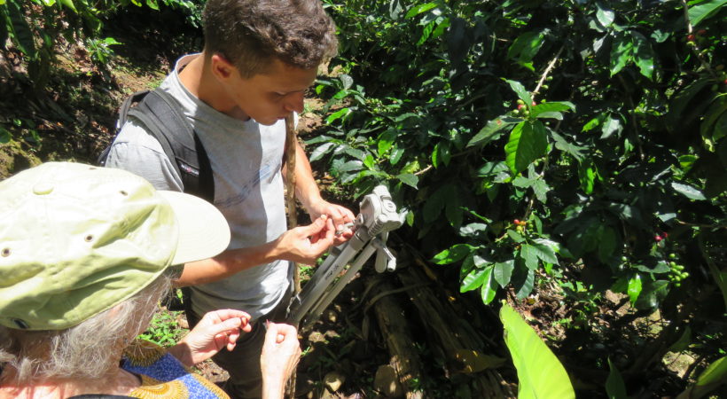 5 Reasons Why Do a Coffee Tour in Colombia